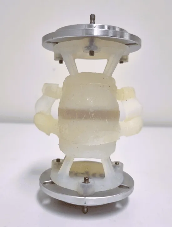 Research figure from: Robotic Benchtop Spine Testing Platform