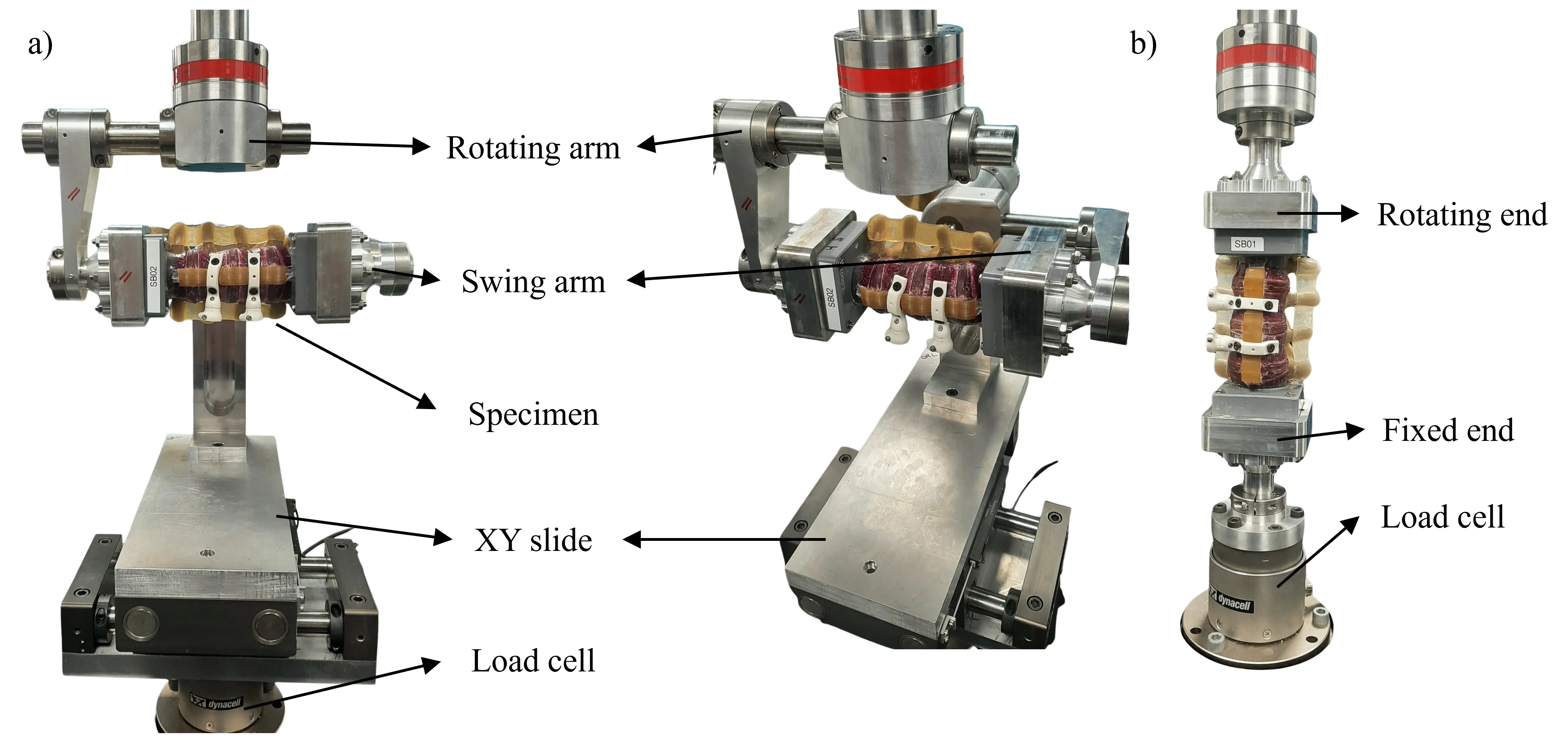 Research figure: Robotic Benchtop Spine Testing Platform