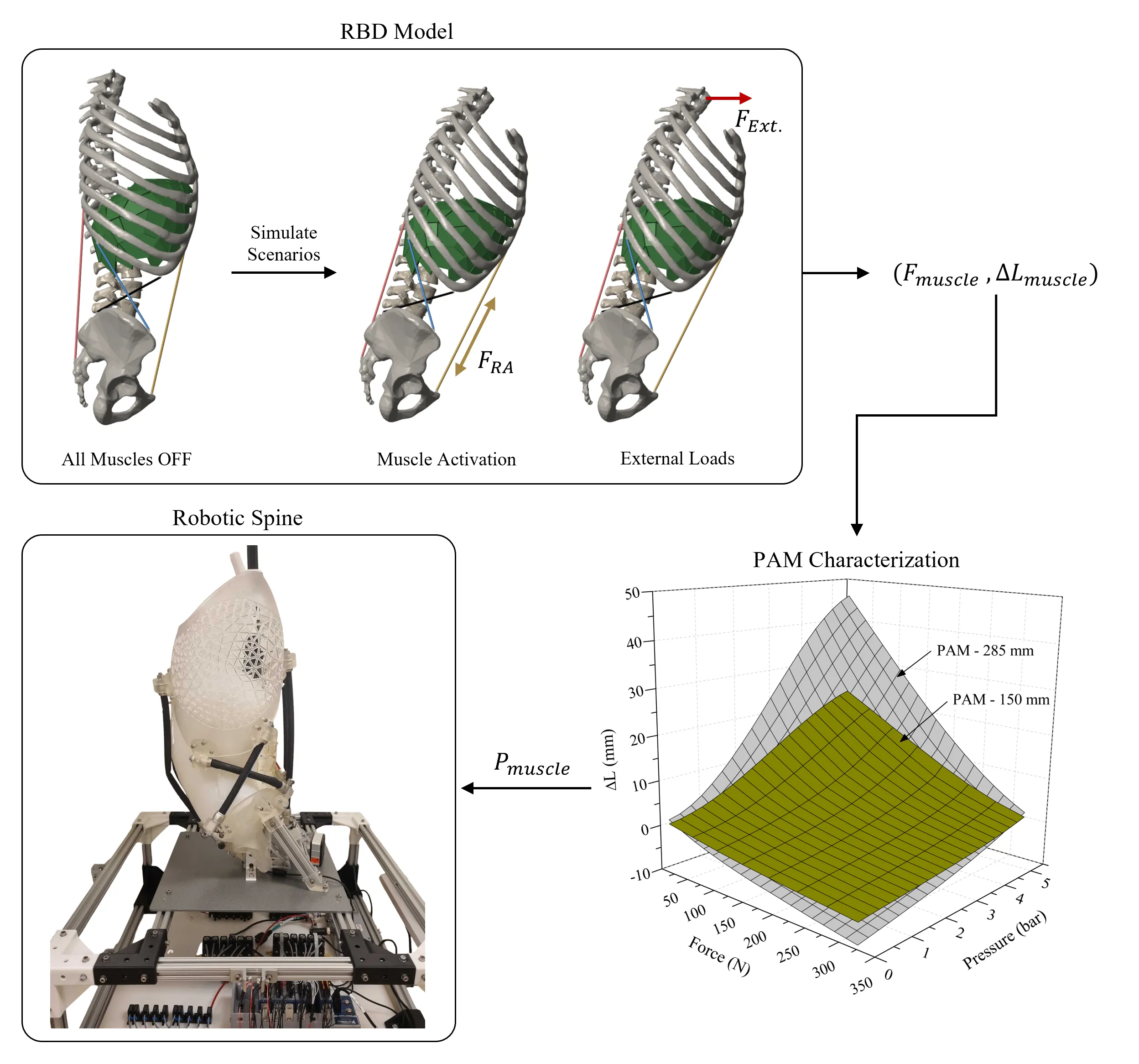 Research figure: Toward a Robotic Spine Simulator